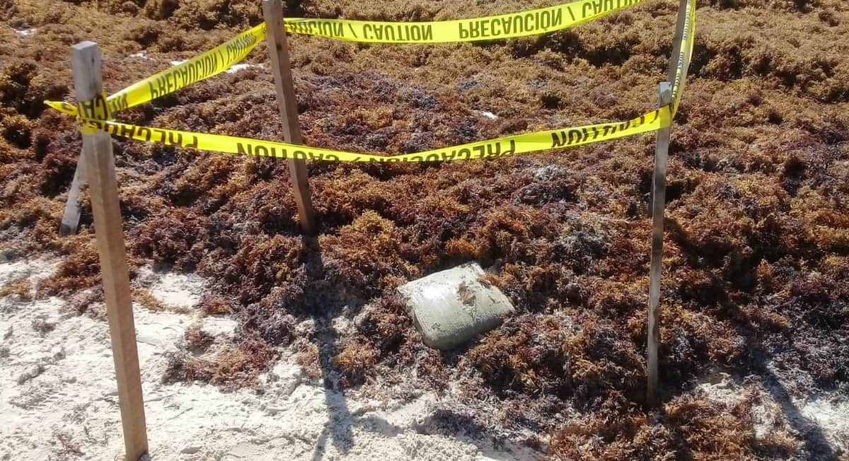 Aseguran paquete de droga en Solidaridad