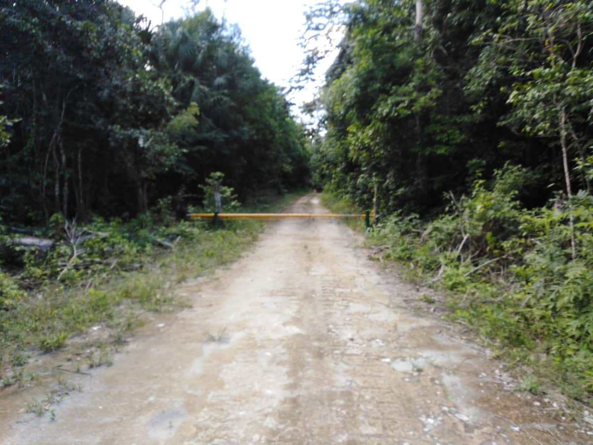 Acusan desvío de recursos en Ichkabal