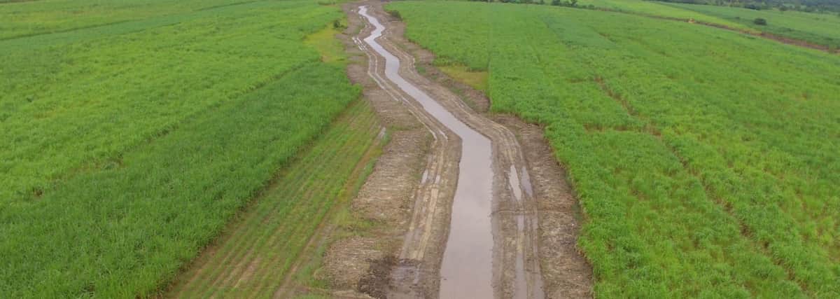 Falta de sistema de riego frena a productores de José María Morelos