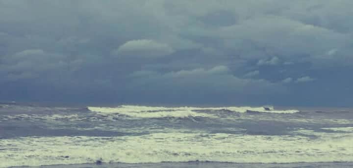 Por cierre de puerto, náuticos han perdido 300 mil dólares en dos días