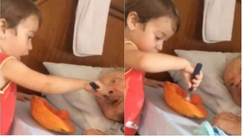 Video donde niño alimenta a su abuelito conmueve a las redes sociales