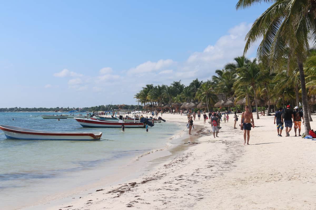 Malla antisargazo en Akumal dañaría ecosistema de tortugas