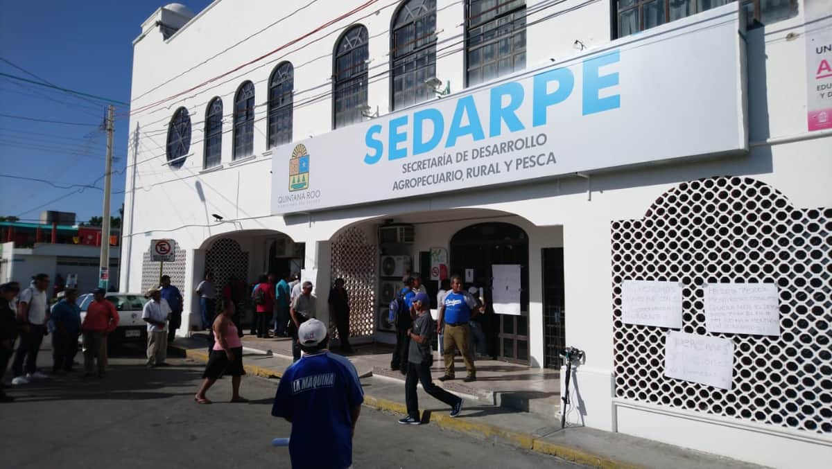 Piñeros denuncian corrupción y falta de apoyo en Chetumal