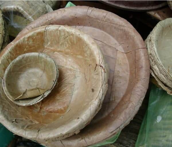 Estudiantes mexicanos crean platos desechables con hojas de maíz