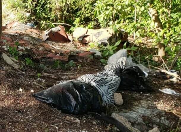 Hallan cuerpo embolsado en Solidaridad