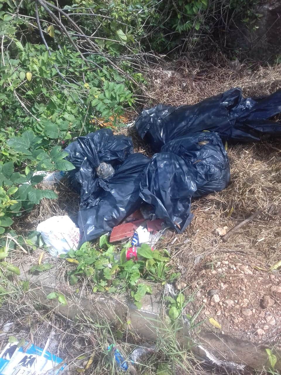 Hallan cuerpo descuartizado en Benito Juárez