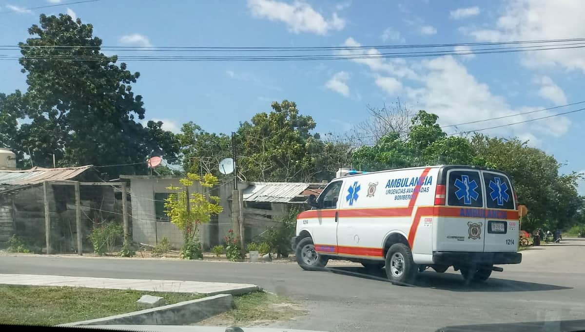 Víbora muerde a menor de edad en Chetumal