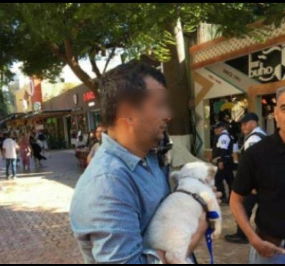 Regidor suplente dejará de lucrar con león en la Quinta Avenida