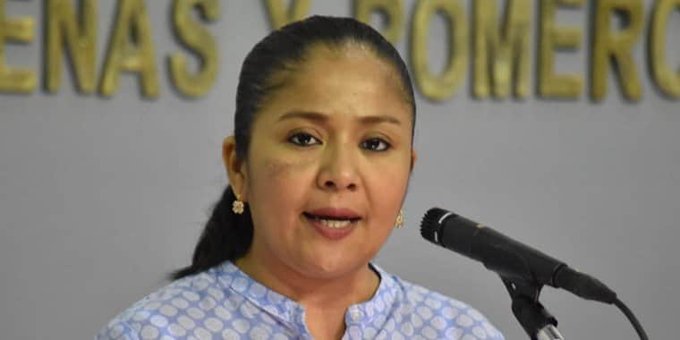 Diputada propone prohibir el reguetón en festivales escolares