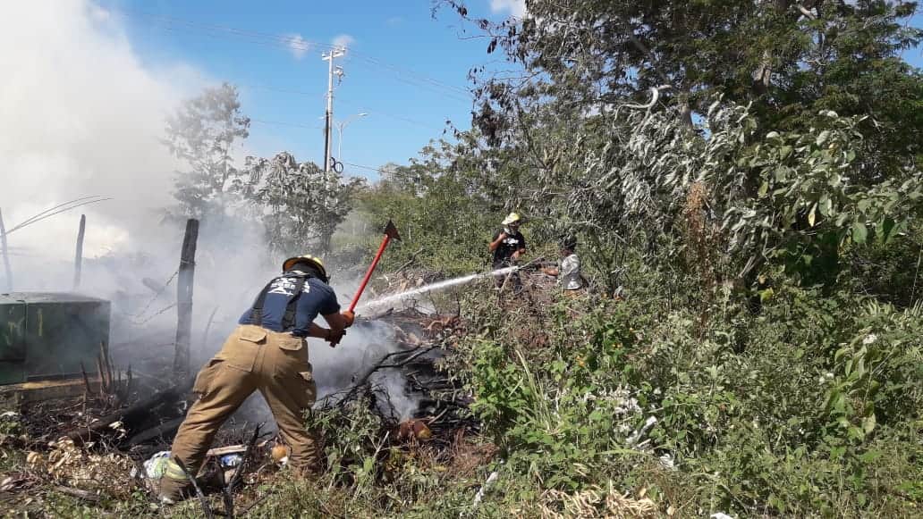 Se incendia predio usado para composta en Cozumel