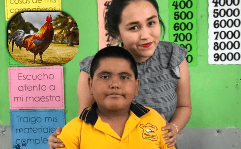 Niño regala a maestra un gallo por su cumpleaños
