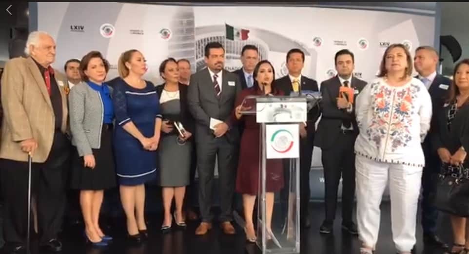 Piden turisteros de Quintana Roo ayuda para abatir el sargazo