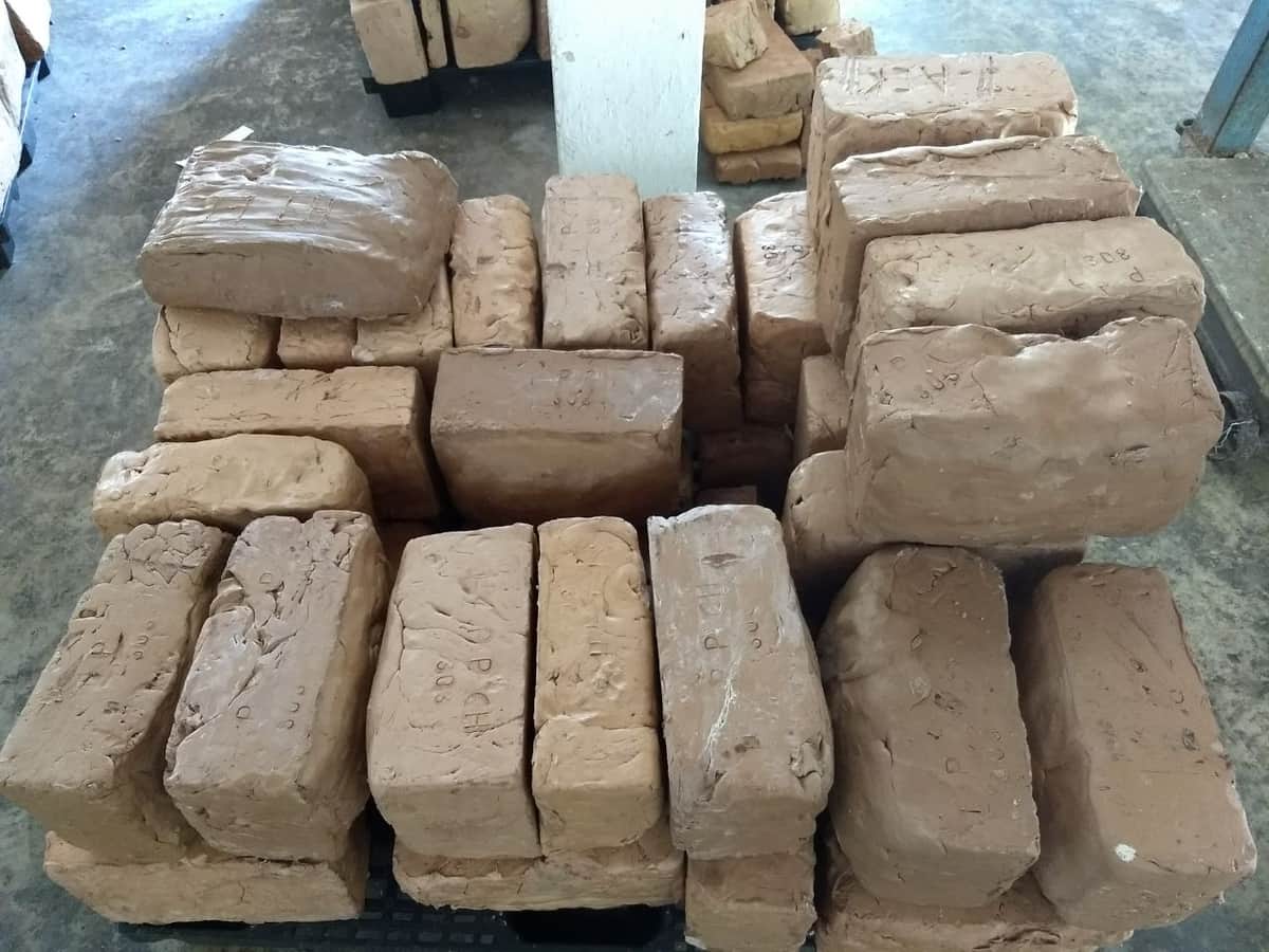 Chicza va por denominación de origen del chicle maya