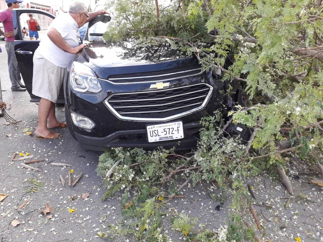 Ebrio, destruye árboles con su camioneta