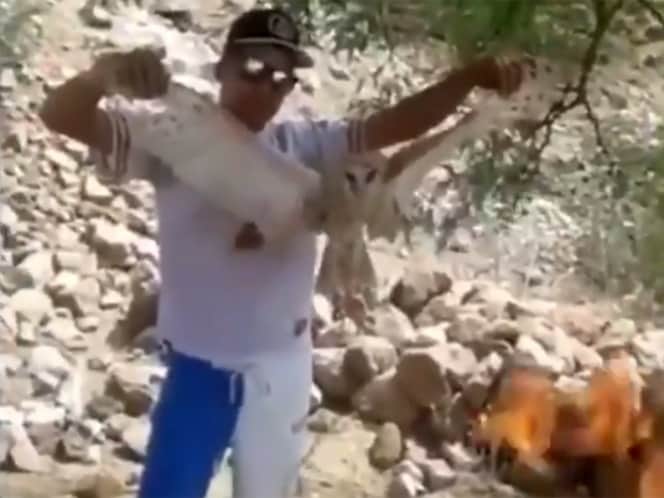 Detienen a sujeto que quemó lechuza viva en Durango