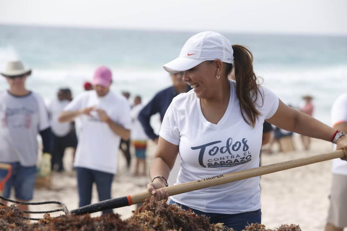 Revela Mara que hay un empresario interesado en el sargazo