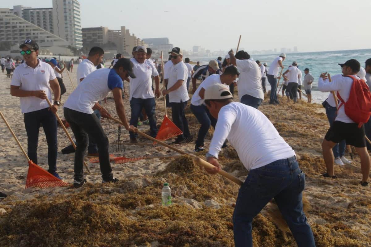 Convocan a “echarle montón” al sargazo en Cancún