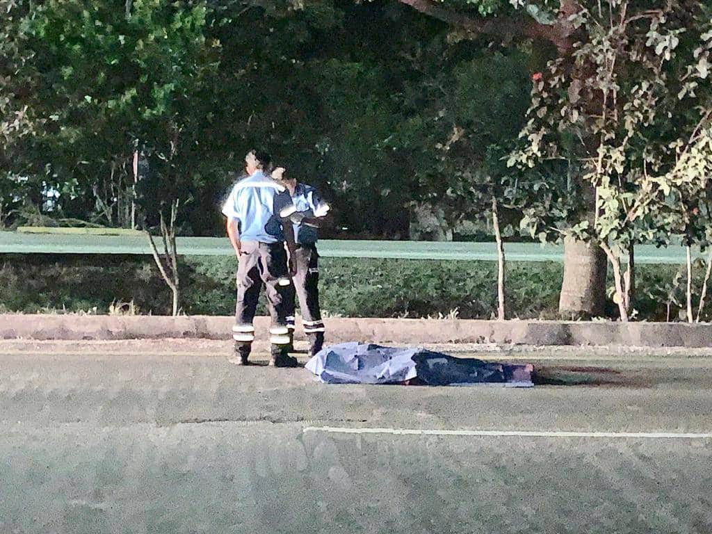 Muere atropellado en la carretera Playa del Carmen - Tulum