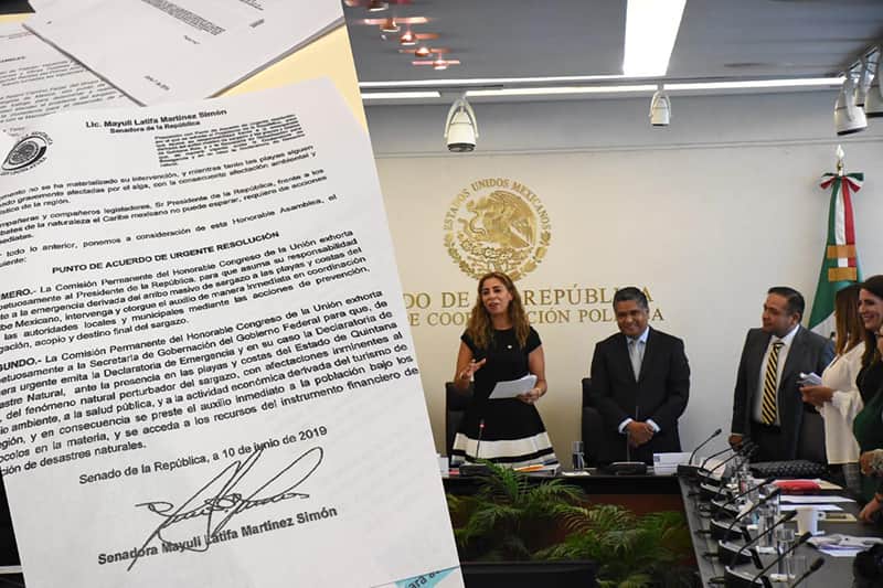 Mayuli Martínez propone y Marybel Villegas descompone