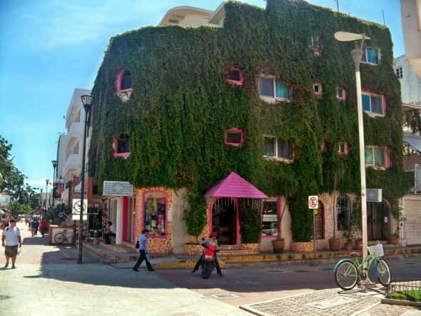 Iniciará renovación de la Quinta Avenida el próximo mes