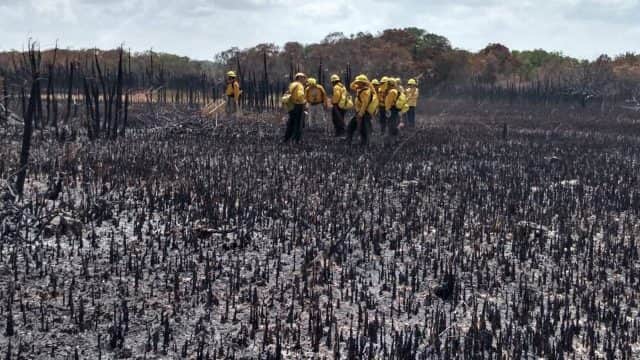 La selva no será igual en 200 años: director de Sian Ka'an
