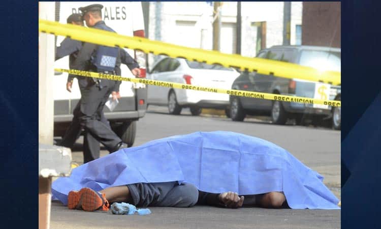 Matan a joven que envenenaba a perros