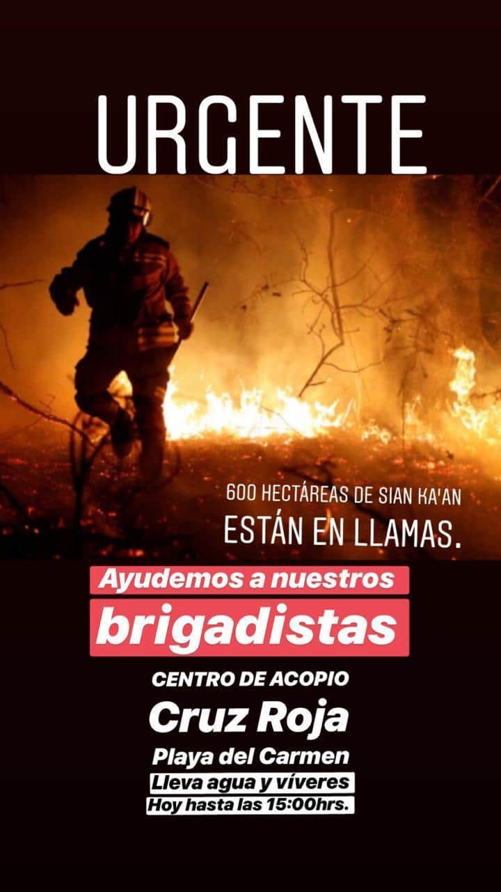 Se incendia Reserva  de la Biósfera de Sian Ka'an; consumió al menos 600 hectáreas