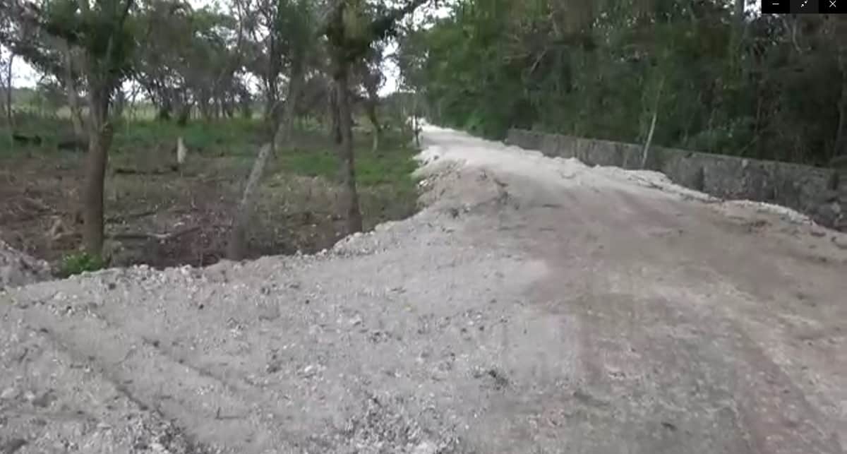 Denuncian ecocidio en Ejido “Juan Sarabia” de Chetumal