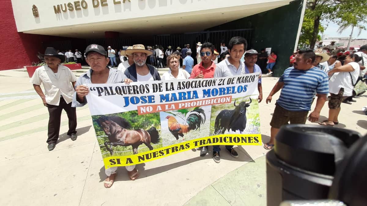Protestan galleros en Chetumal