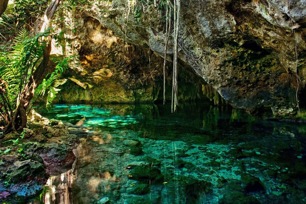 Enamórate de los 5 cenotes más hermosos e increíbles de la Riviera Maya