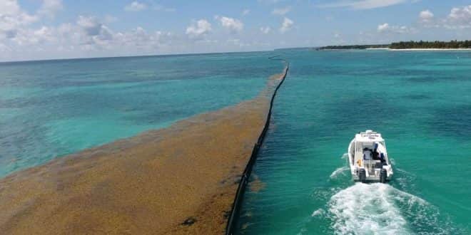 AMLO dice que el problema del sargazo en Q. Roo ya está resuelto