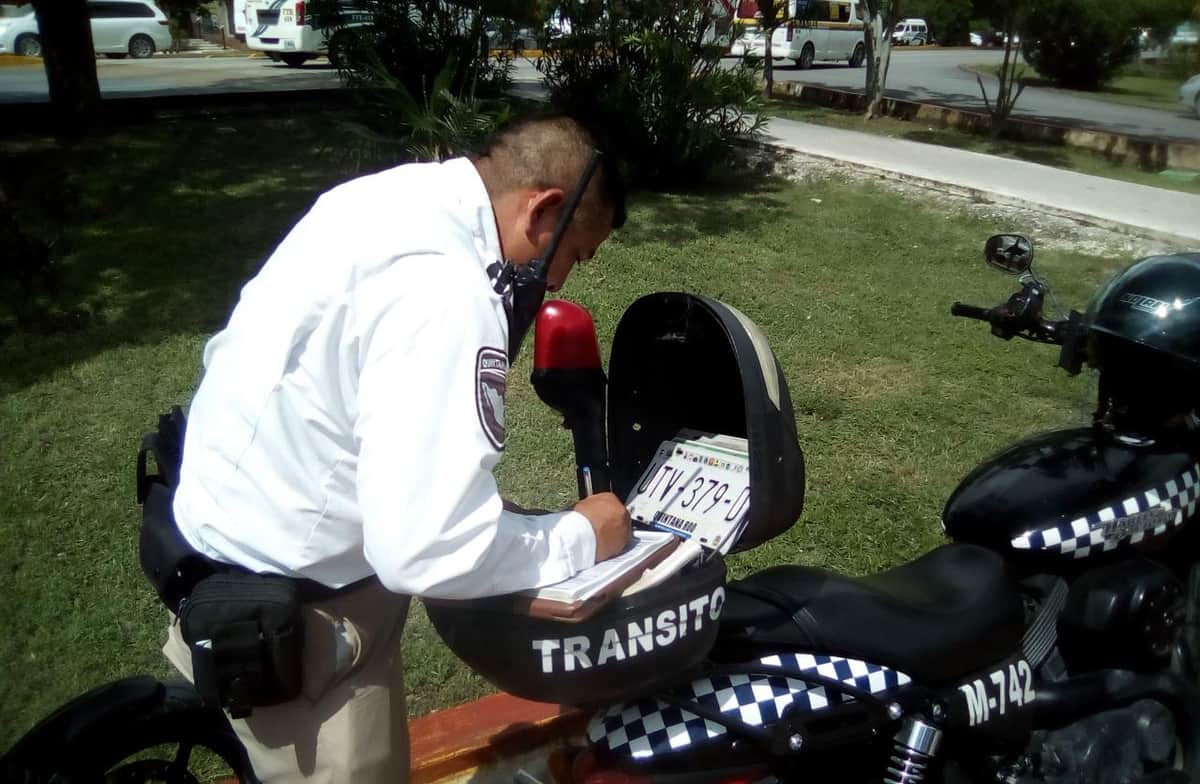 Suelta Tránsito de Cancún a "sus perros"