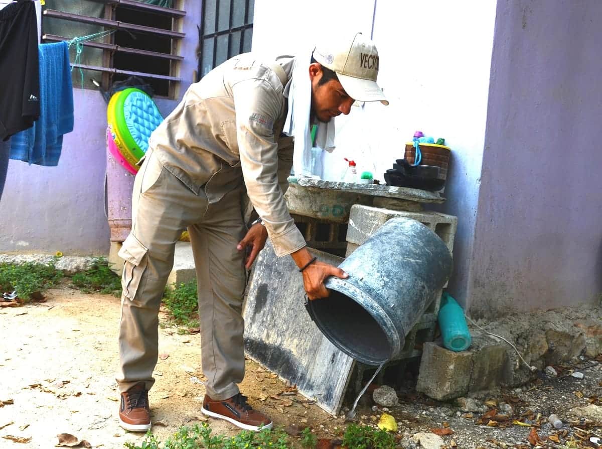 Refuerza SESA fumigación para evitar casos de dengue
