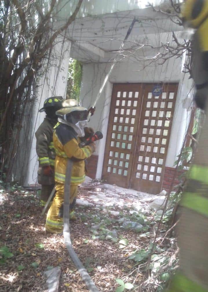 “Corretiza” en Cancún por ataque de abejas