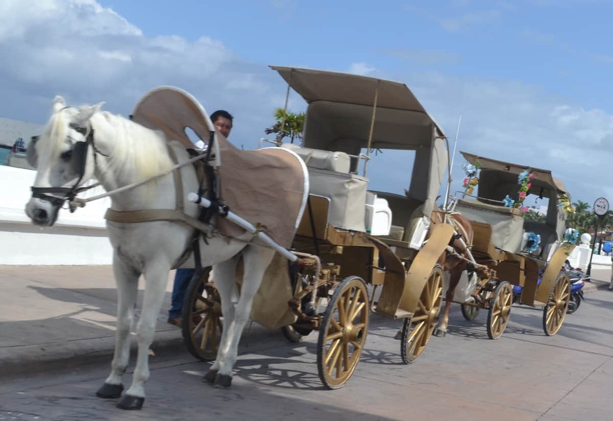 Calesas eléctricas en Cozumel, aún lejos de realizarse