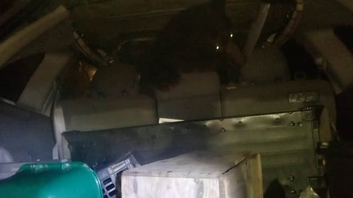 Video: Oso soprende a sujeto al aparecerse al interior de su auto