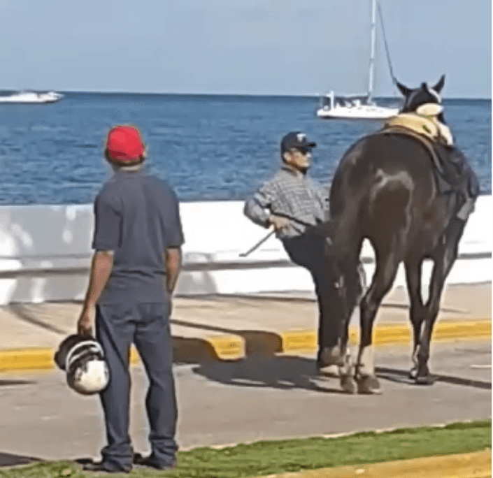 Multarán a caballerango acusado de maltrato animal
