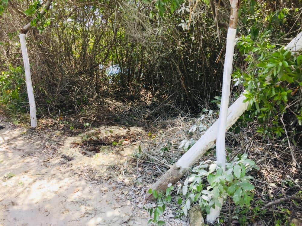 La tercera no fue la vencida para Greg Sánchez en Cozumel; le rechazan proyecto