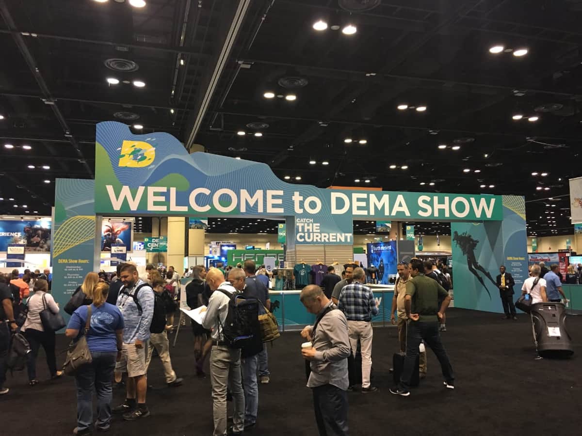 Galardonan a Cozumel como el mejor sitio de buceo del Caribe