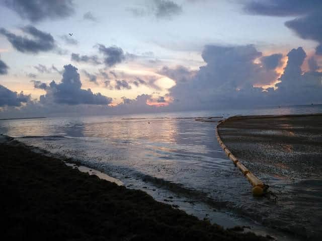 Clima: Se va el Frente Frío No. 23 de Quintana Roo