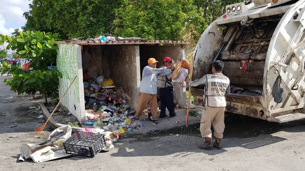 Cancún genera 300 toneladas diarias de basura