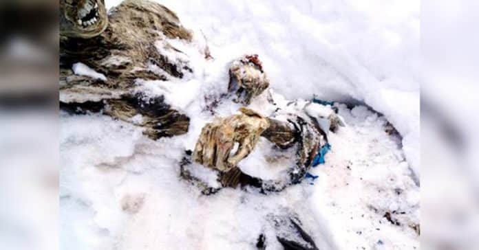 Mujer escondió el cadáver de su esposo en congelador ¡por 10 años!