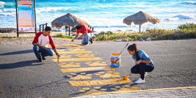 Pintan paso peatonal pet friendy en Isla Mujeres