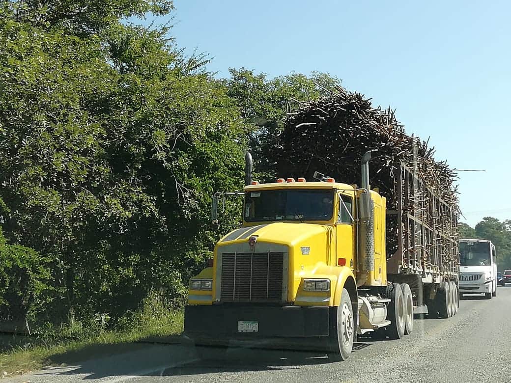 Motociclista muere al chocar contra camión cañero