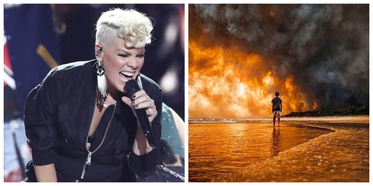 Pink dona medio millón de dólares para combatir incendios en Australia