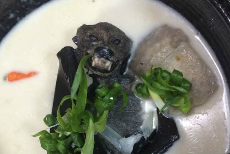 Por coronavirus, China prohíbe consumo y comercio de animales salvajes