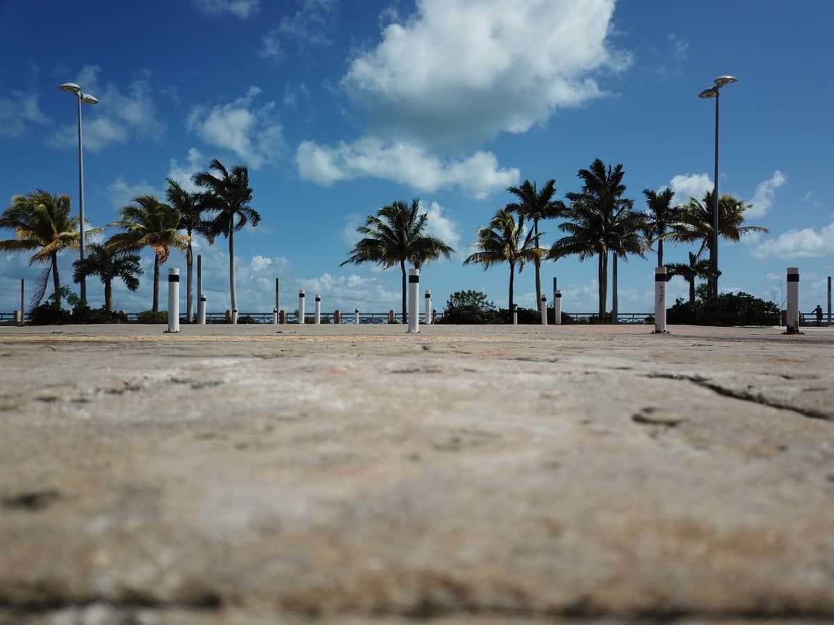 Tajamar será sede de conciertos del Carnaval: Mara Lezama