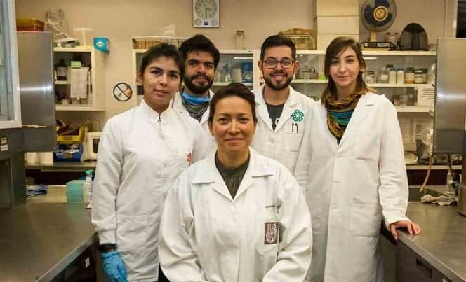 Investigadores del IPN eliminan virus del papiloma humano de 29 mujeres al 100%