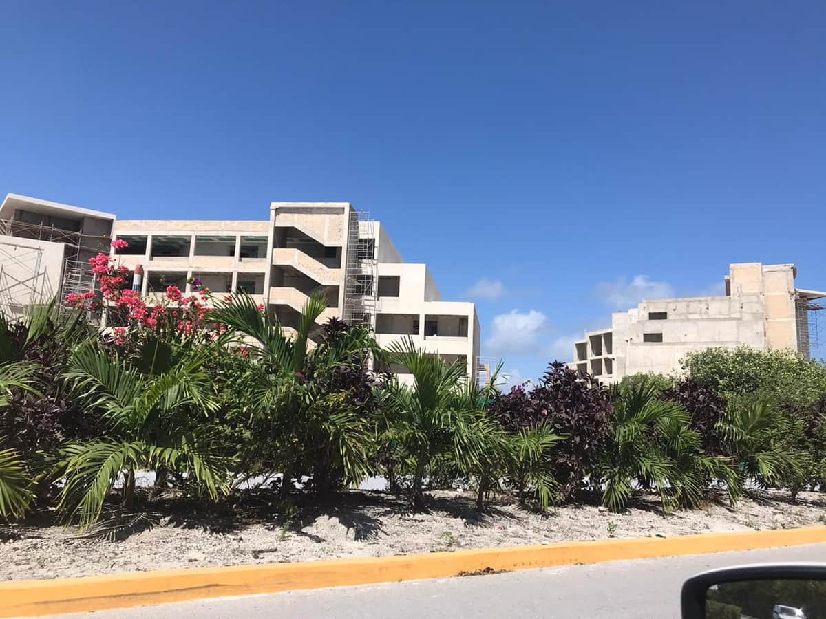 Vuelve ecocida hotel El Cid de Puerto Morelos a talar manglar