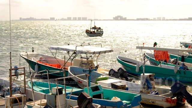 Náuticos buscarán frente común contra cierres de puerto en Q. Roo